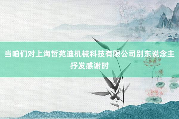 当咱们对上海哲苑迪机械科技有限公司别东说念主抒发感谢时